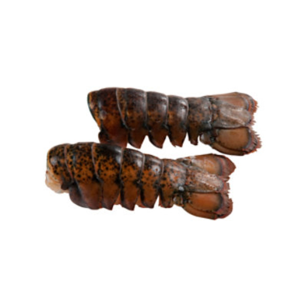 14 16 Ounce Previously Frozen Lobster Tail