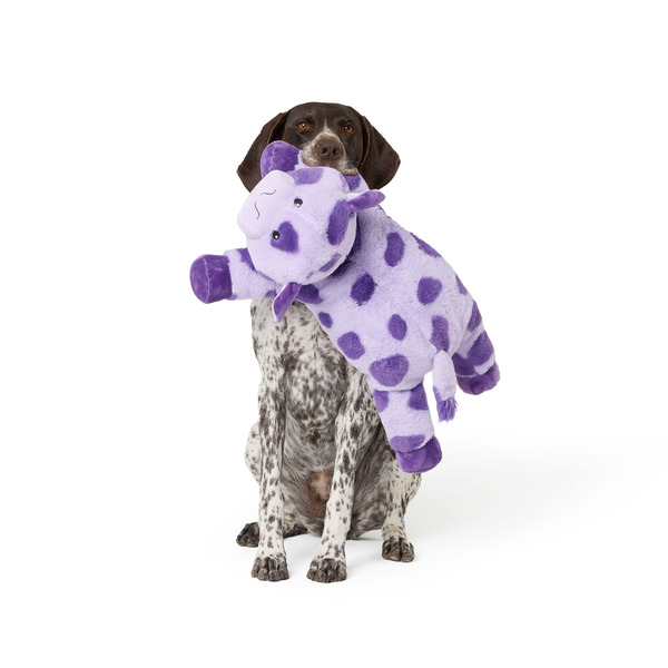 Thrills & Chills Halloween Cow Plush Dog Toy, XL - Purple