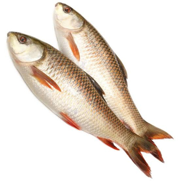Al Haramain International Foods Rohu Fish Same-Day Delivery | Instacart