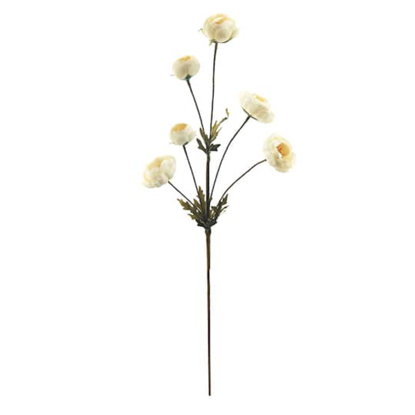 Ashland Cream Ranunculus Stem