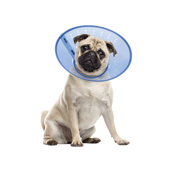 Calm Paws Behavior Support Calming E-Collar
