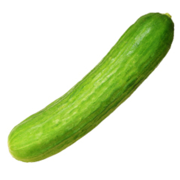 Persian (Armenian) Cucumber