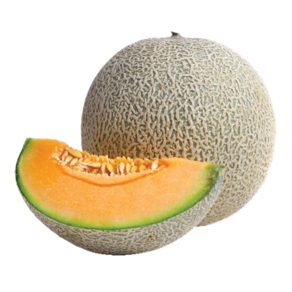 Cantaloupe