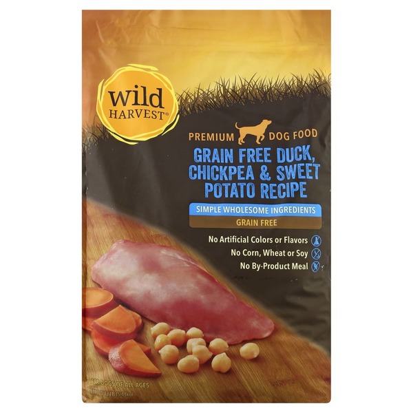 long island boston terrier