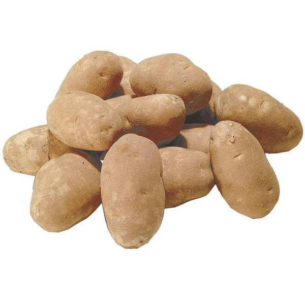 Russet Potatoes