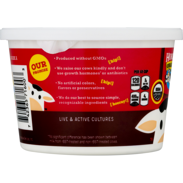 Horizon Regular Small Curd Cultured Cottage Cheese 16 Oz Instacart