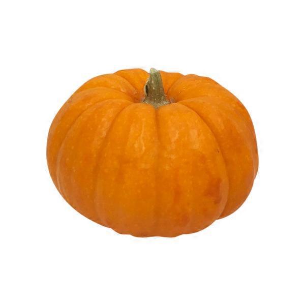 Mini Orange Pumpkins