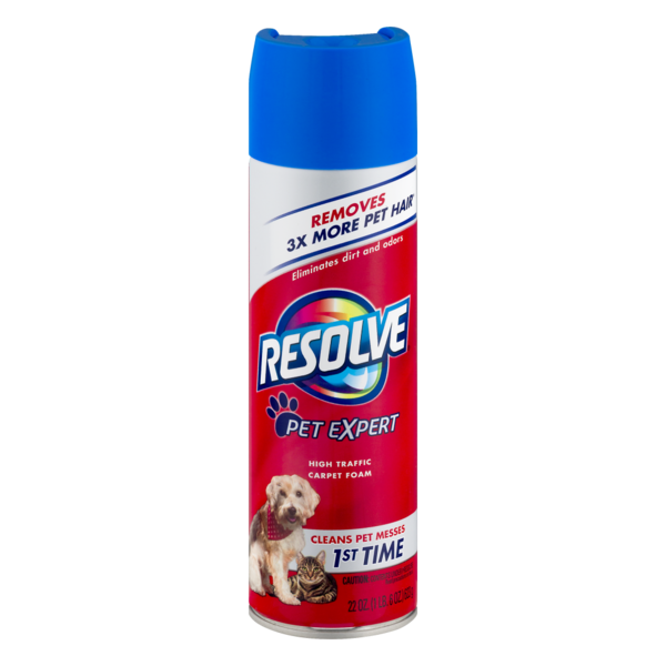 Woolite Carpet Upholstery Foam Cleaner With Fabric Safe Brush Carpet