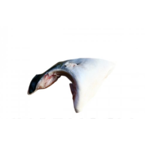 Fresh Halibut Collars