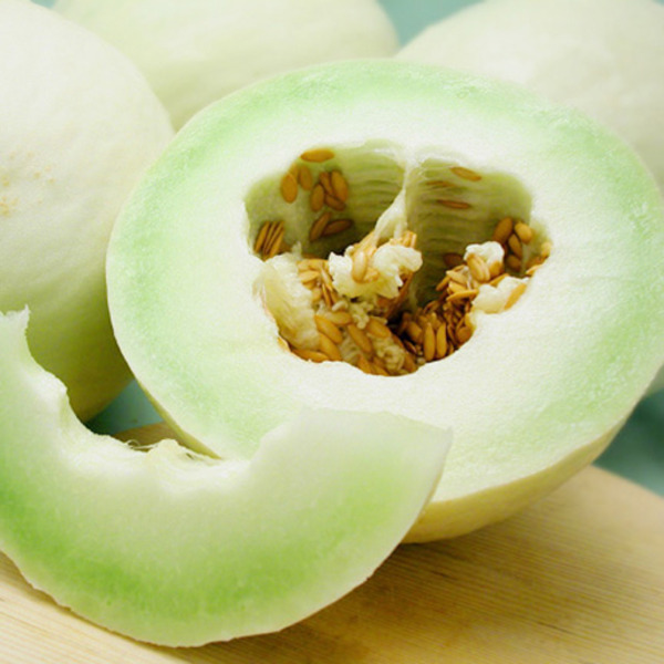 Honeydew Melon