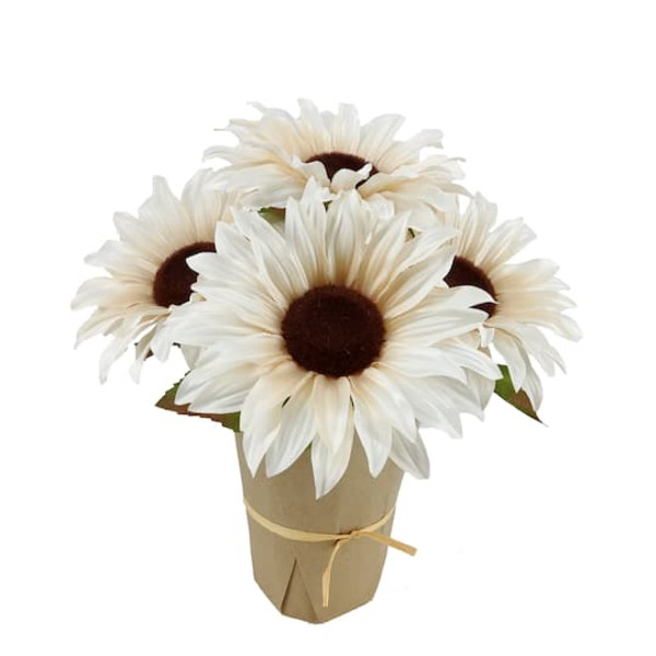 Ashland Potted Sunflower Arrangement