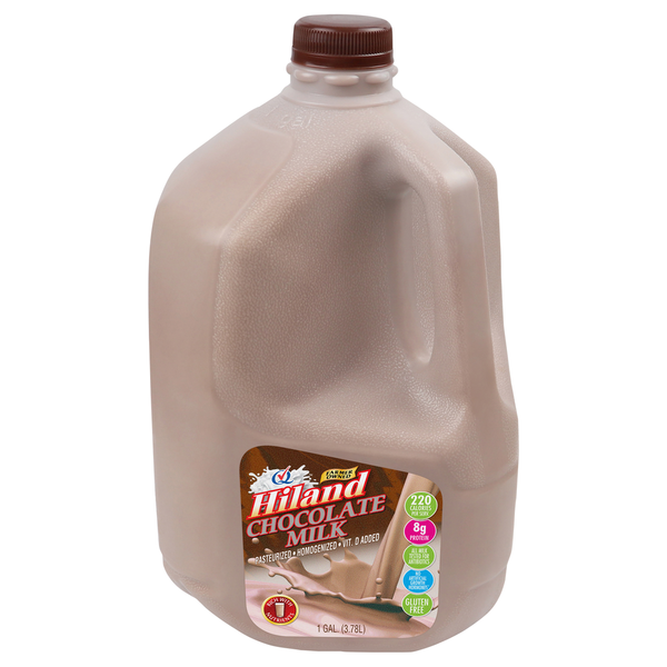 Hiland Dairy Chocolate Milk Same-Day Delivery | Reasor's