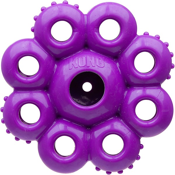 kong quest star pods