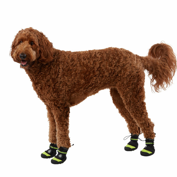 Arcadia Trail Year-Round All-Terrain Dog Boots
