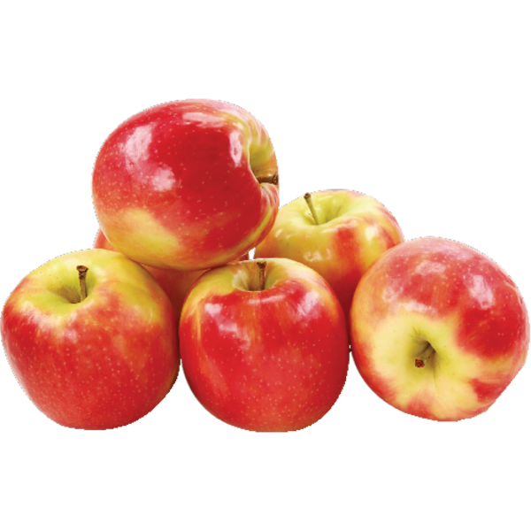 Pink Lady Apple