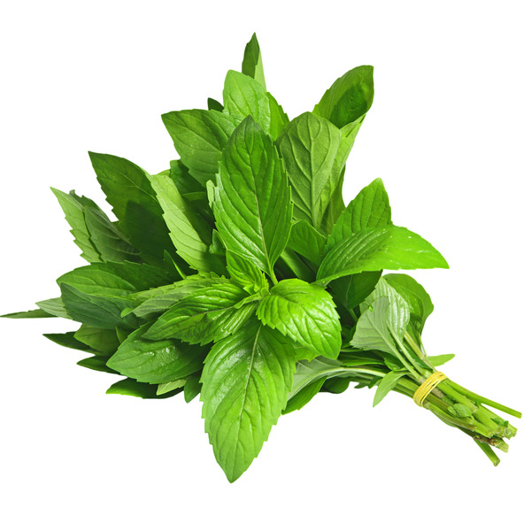 Mint Bunch