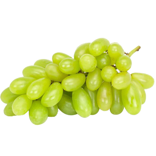 White Seedless Grapes