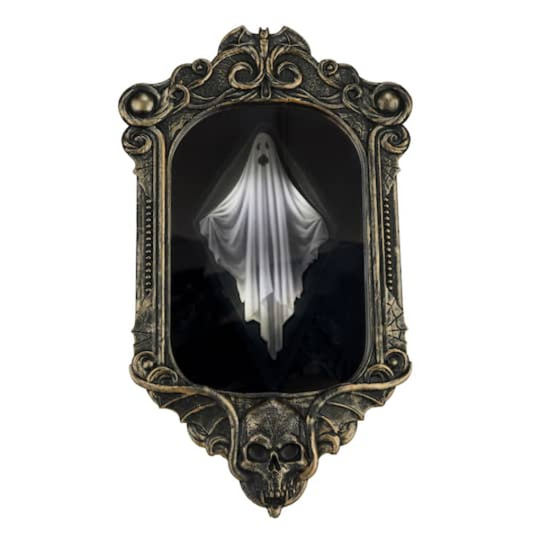 Ashland Animated Disappearing Ghost Frame