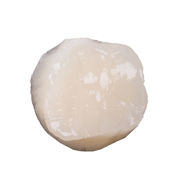 Frozen Scallops