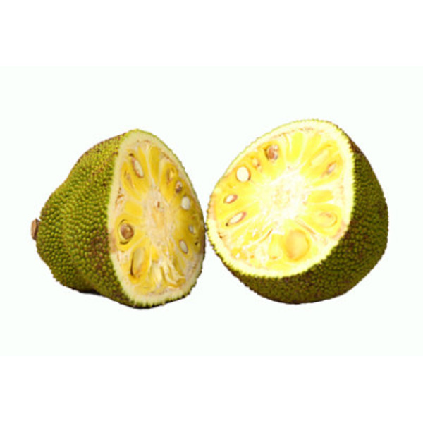 Cabello The Marvellous Jackfruit