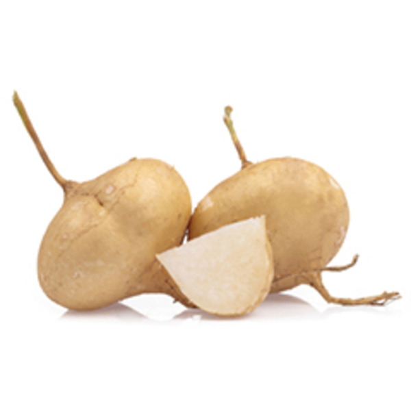 Jicama