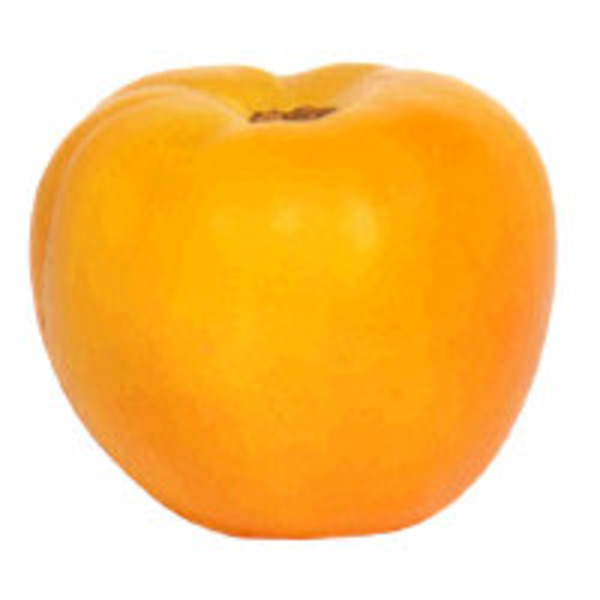 Yellow Beefsteak Tomatoes