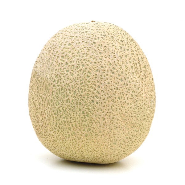 Cantaloupe Melon from Whole Foods Market Instacart