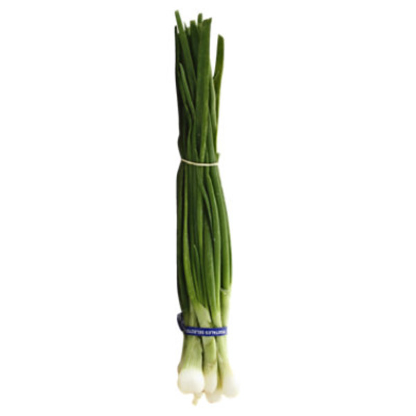 Onion