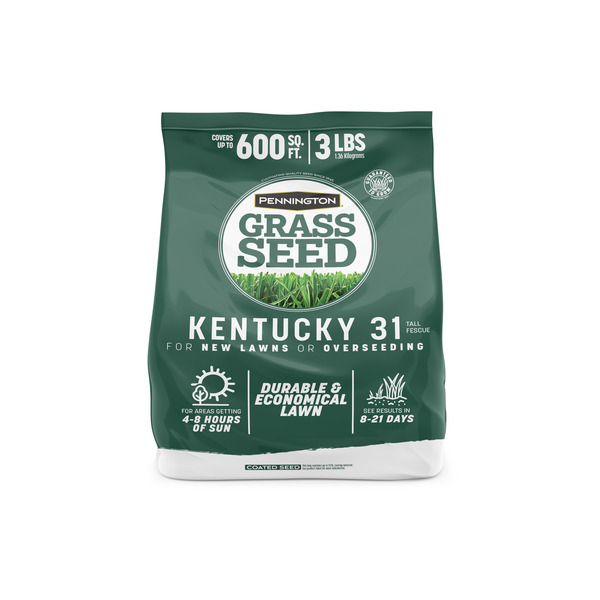 Pennington Kentucky 31 3-lb Tall Fescue Grass Seed