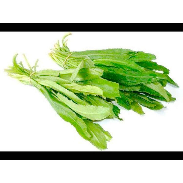 Solfi Culantro