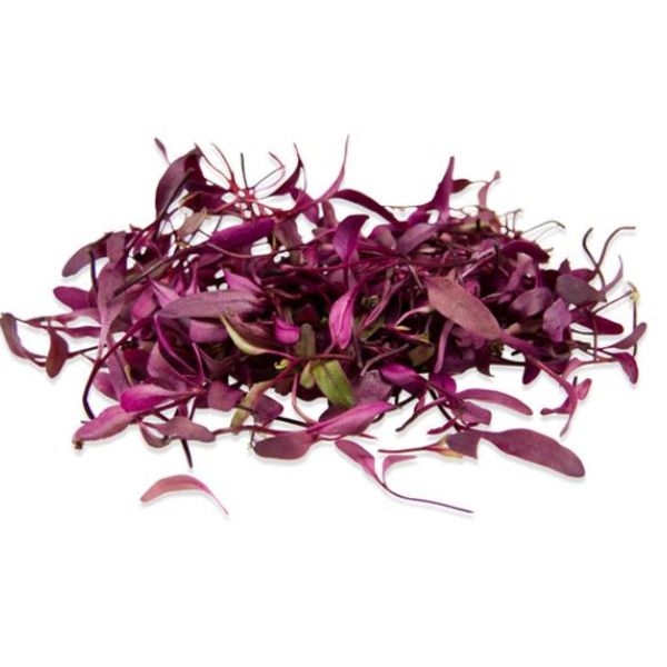 Micro Bulls Blood - 8 oz