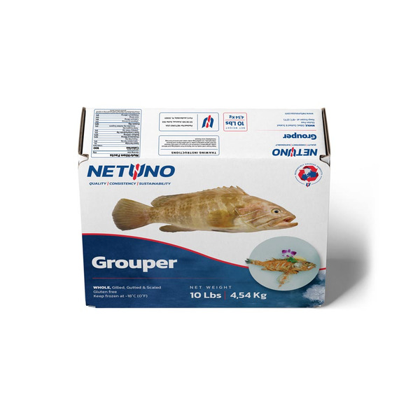 Frozen Whole Grouper, gilled, gutted and scaled, IQF, 10 lbs