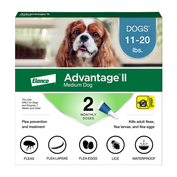 Advantage Vet-Recommended Flea Treatment & Prevention for Medium Dogs