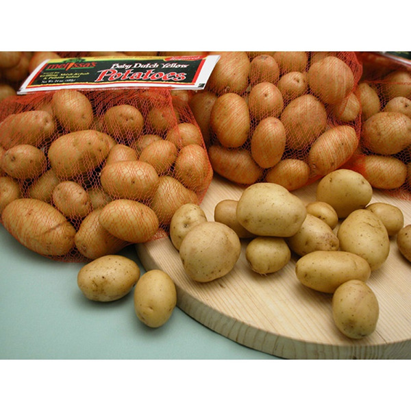 Yellow Potato
