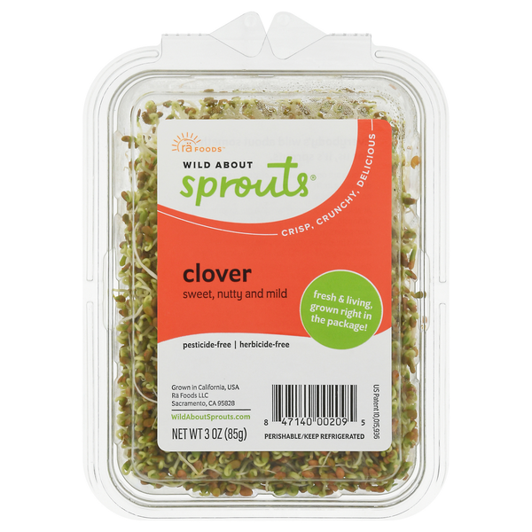 Rä Wild About Sprouts Clover