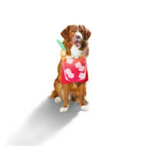 Bootique Bloody Mary Dog & Cat Costume
