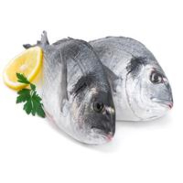 Fresh Orata / Dorade - 400-600 grams, farm raised