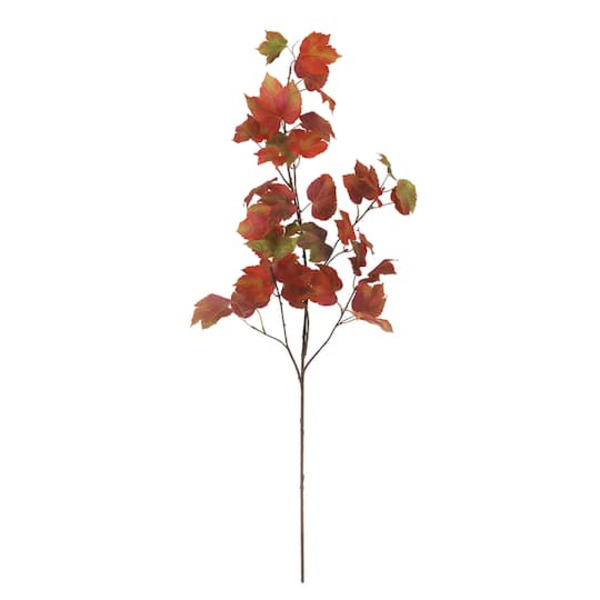 Ashland Maple Stem - Red & Green