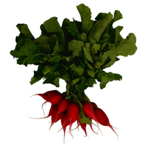 Red Italian Radish Bunch