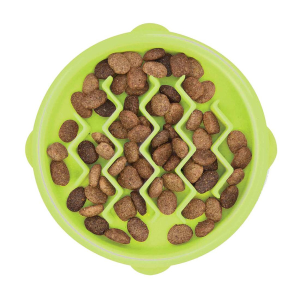 Petstages Green Zig-Zag Slow Feeder for Cats