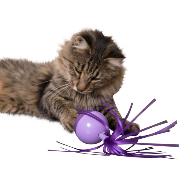 Smarty Kat Twirly Top Spinning Motion Cat Toy