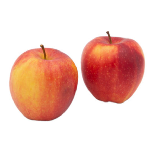 Oneonta Trading Corporation Organic Large Gala Apples