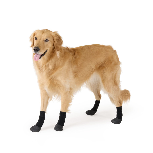 Arcadia Trail Coated Dog Socks, L - Black & Burgundy