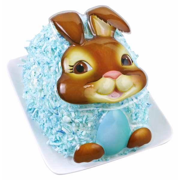 Market 32 Chocolate Bunny Cake With Buttercreme and Coconut Same