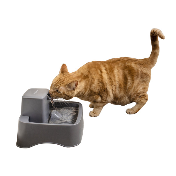 PetSafe Drinkwell 1/2 Gallon Pet Fountain
