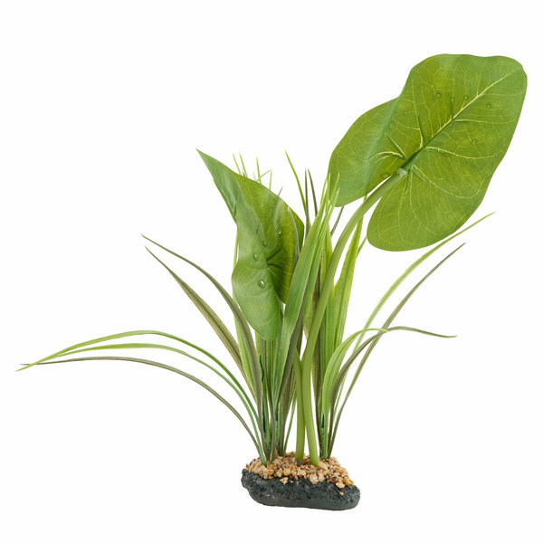 Thrive Tropical Natural Plant Decor
