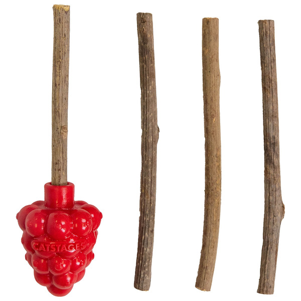 Catstages Dental Raspberry Teether With Silvervine Sticks Cat Toy