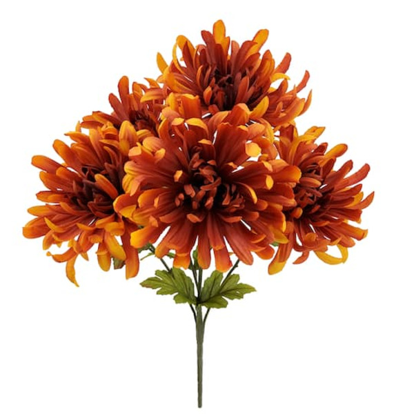 Ashland Aster Mum Bush