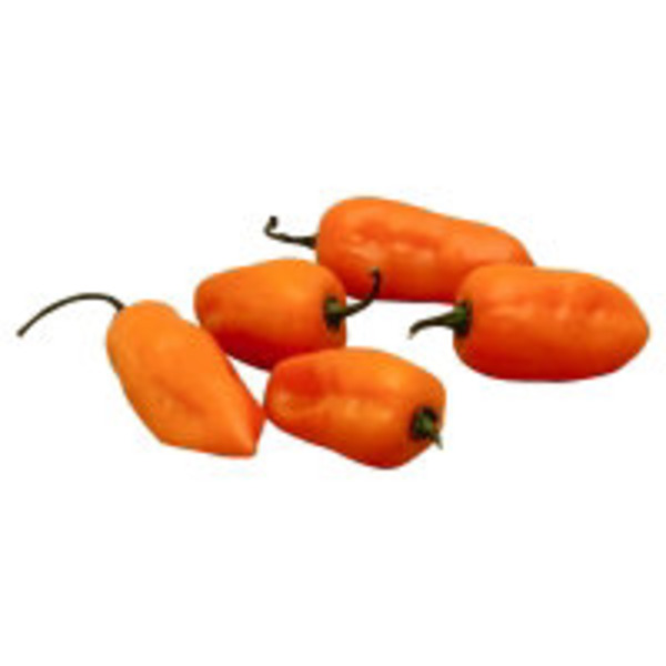 Habanero Pepper