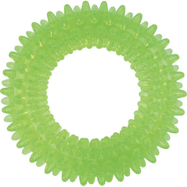 Play On Spike Ring Fetch Toy for Dogs